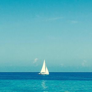 Meet your Posher, Anelle